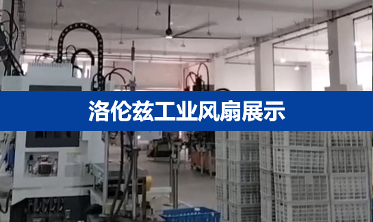 洛伦兹吊扇-工厂实景